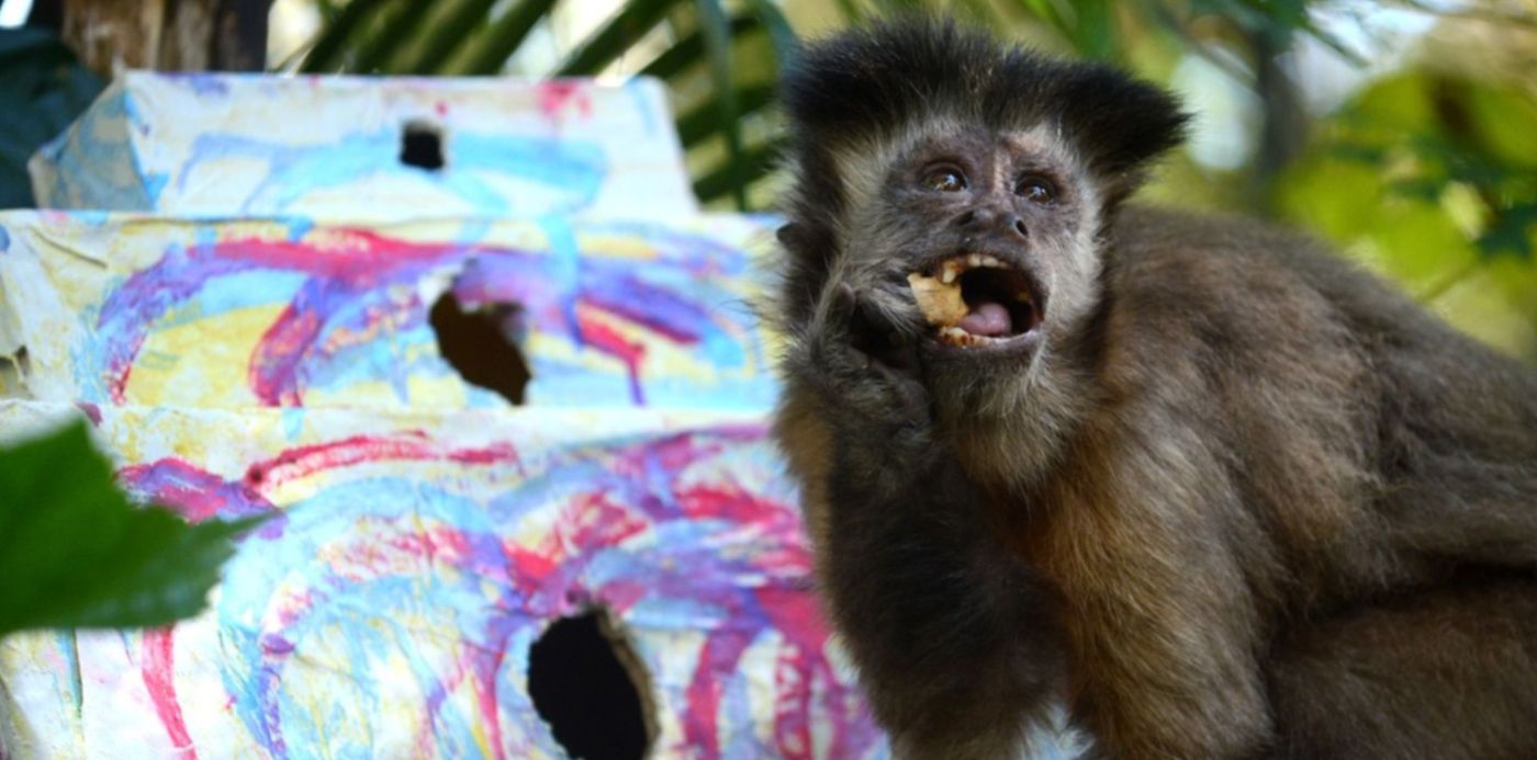 1619659241828.jpg?x=16&y=83&width=1476&height=738&rotate=0&scaleX=1&scaleY=1&ow=1500&oh=1047&&cw=1920&ch=950