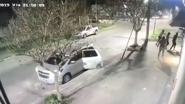 video: quisieron meterse a robar en una casa de la plata pero los duenos los echaron a palazos
