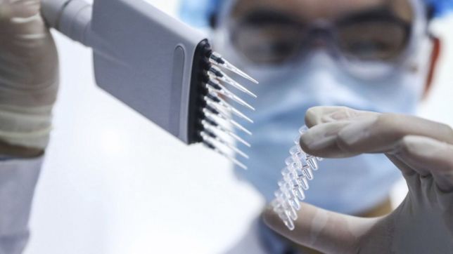 ¿como avanza el desarrollo de la vacuna contra el covid-19 de la unlp?