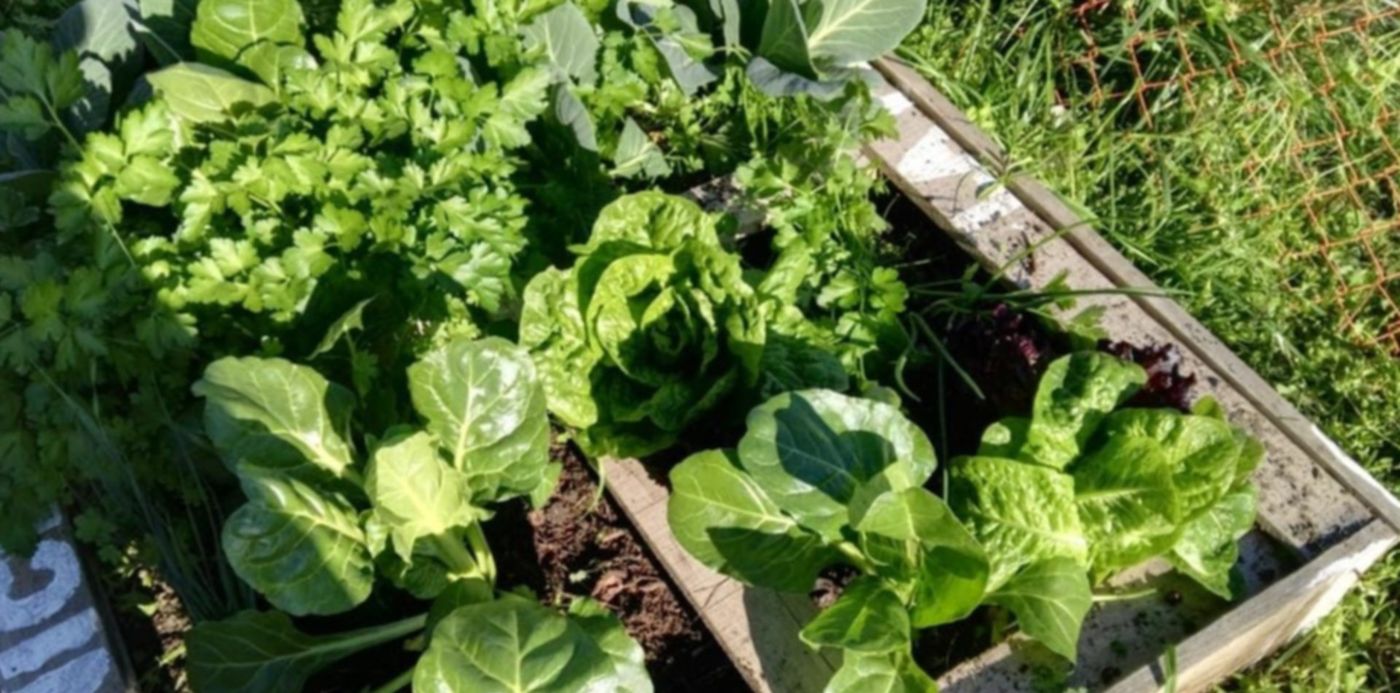 1600873022551.jpg?x=10&y=109&width=1019&height=510&rotate=0&scaleX=1&scaleY=1&ow=1040&oh=780&&cw=1920&ch=950