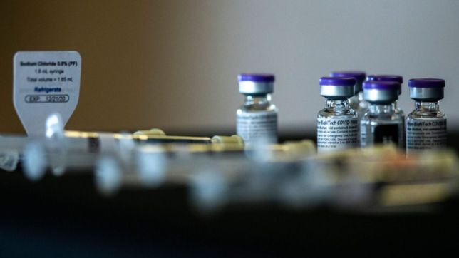 pfizer pide que todos los adultos se apliquen una tercera dosis contra el covid-19