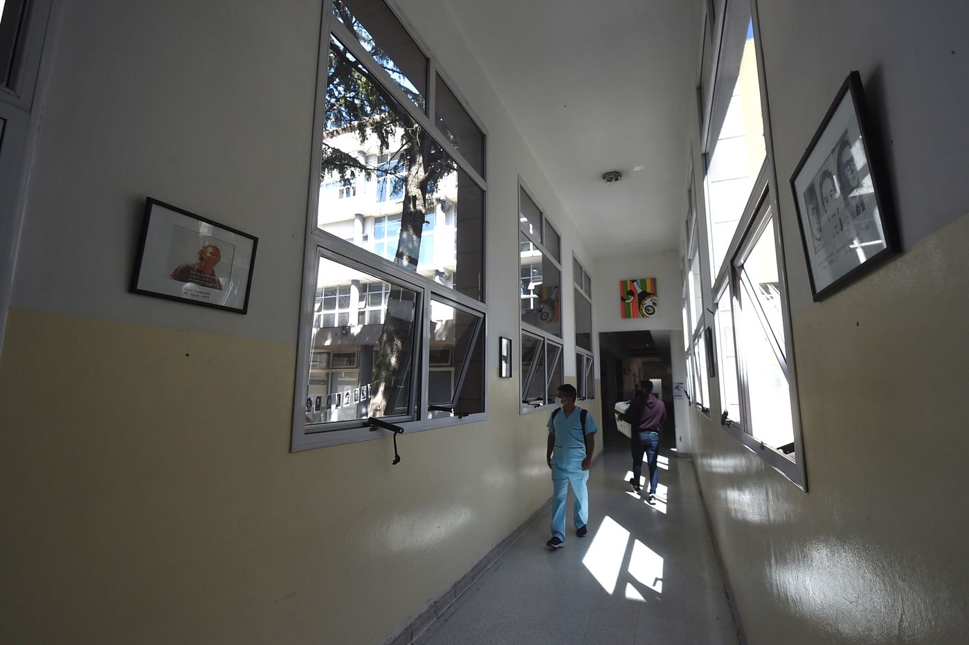 Los perros se convirtieron en puentes de alivio y conexión para los chicos internados en el Hospital de Niños de La Plata