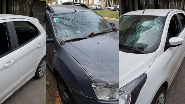pedradas y vidrios rotos: preocupan el aumento de ataques vandalicos en el mondongo
