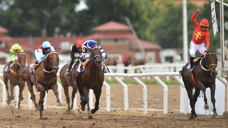 Hipódromo (8).JPG