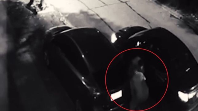 video: una banda de roba ruedas quedo filmada tras atacar en barrio norte