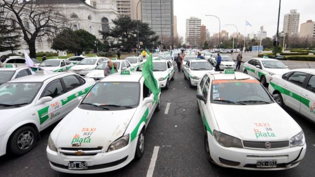 ¿si o no?: continua el debate por los taxis rosas en la plata