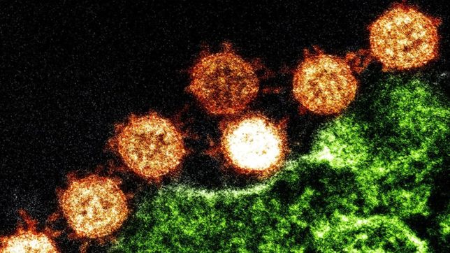 la variante delta tiene sintomas distintos de la version original del coronavirus