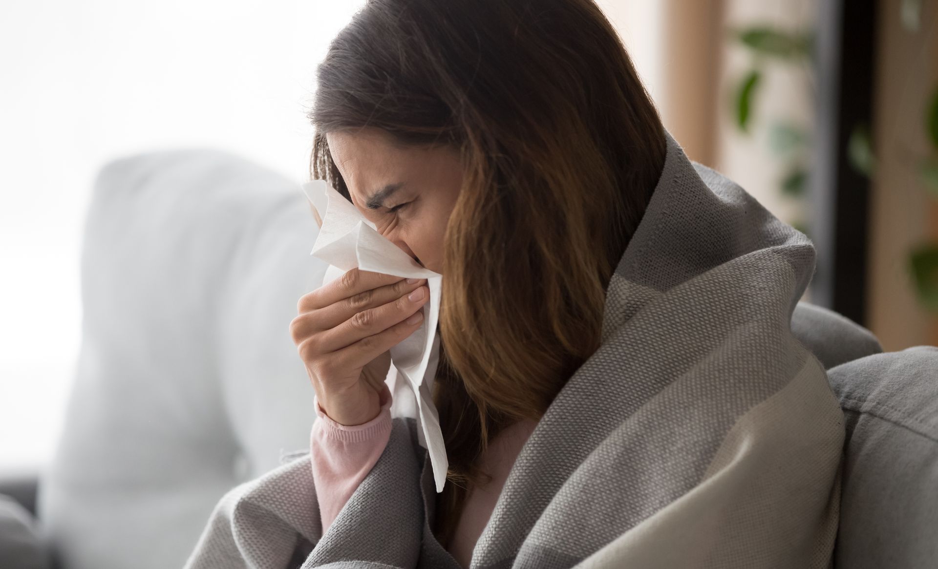 Gripe.jpg