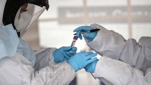 la oms espera que el covid y la viruela del mono dejen de ser emergencias globales en 2023