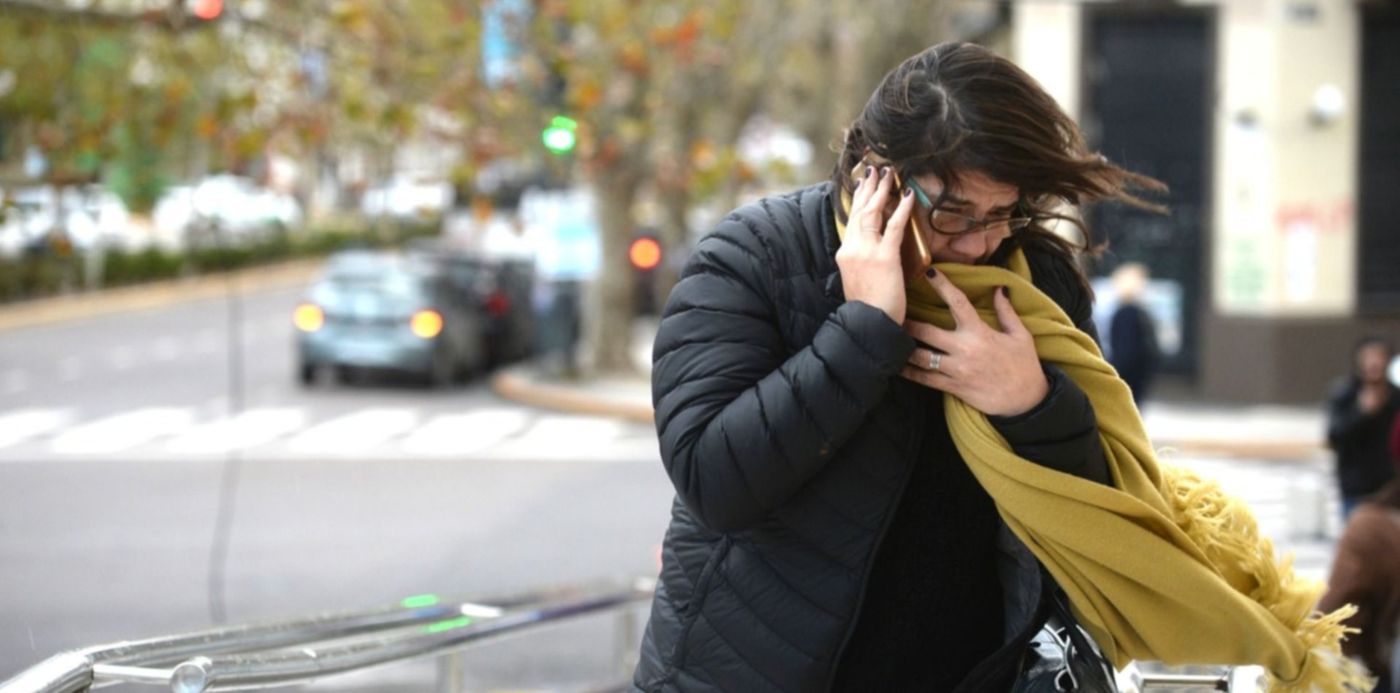 1577207282238.jpg?x=10&y=124&width=1490&height=745&rotate=0&scaleX=1&scaleY=1&ow=1500&oh=936&&cw=1920&ch=950