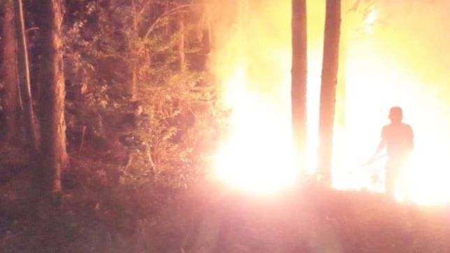 video: un impactante incendio quemo 40 hectareas del parque pereyra