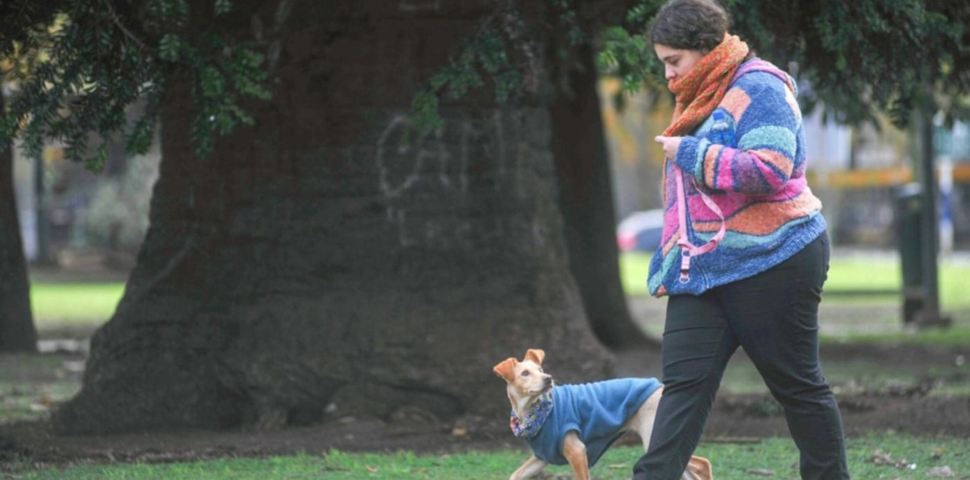 1528582632746.jpeg?width=1489&rotate=0&scaleY=1&ow=1500&x=4&y=132&height=745&scaleX=1&oh=997&&cw=1920&ch=950