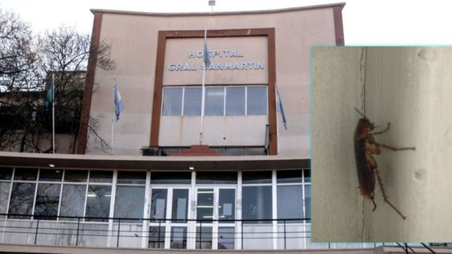 basura, goteras, aranas y cucarachas: asi denuncian la dejadez del hospital san martin