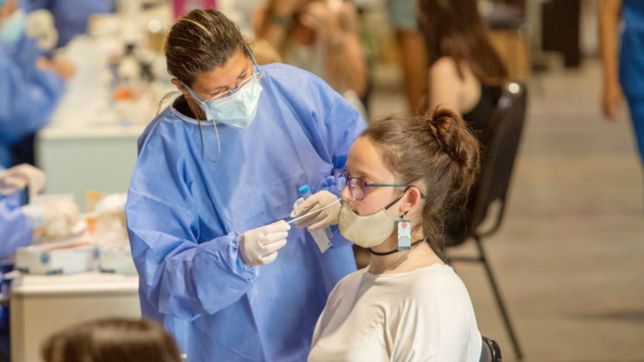 radiografia de la pandemia en la plata: bajo el ritmo de descenso de los contagios
