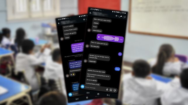 denunciaron por grooming a una docente en una escuela de la plata