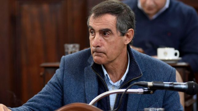 ucr convulsionada: frangul visito el mercado central, bastion de denuncias de rollie