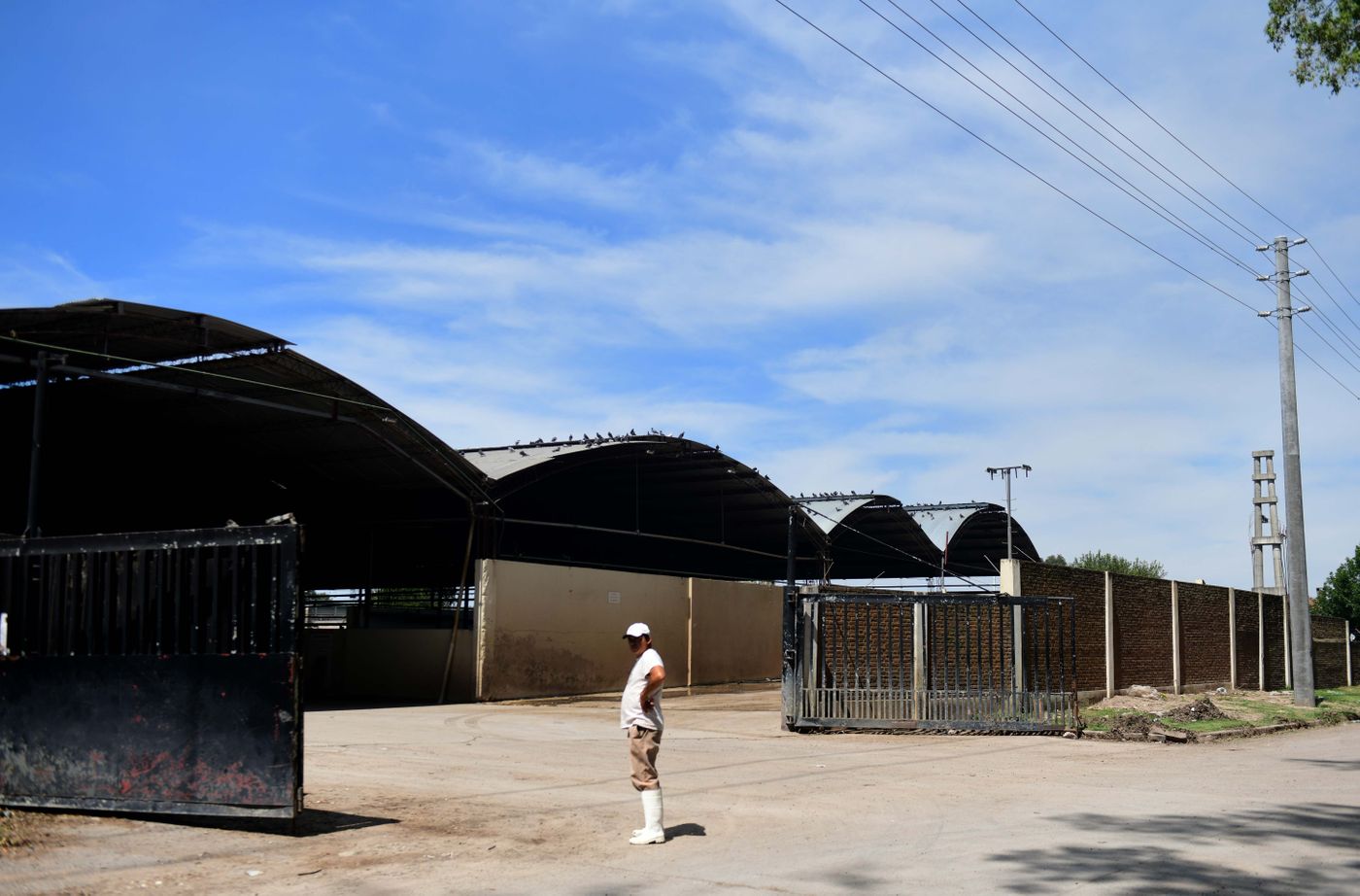Incendio en el Frigorífico de Gorina el Día Después (1).jpg