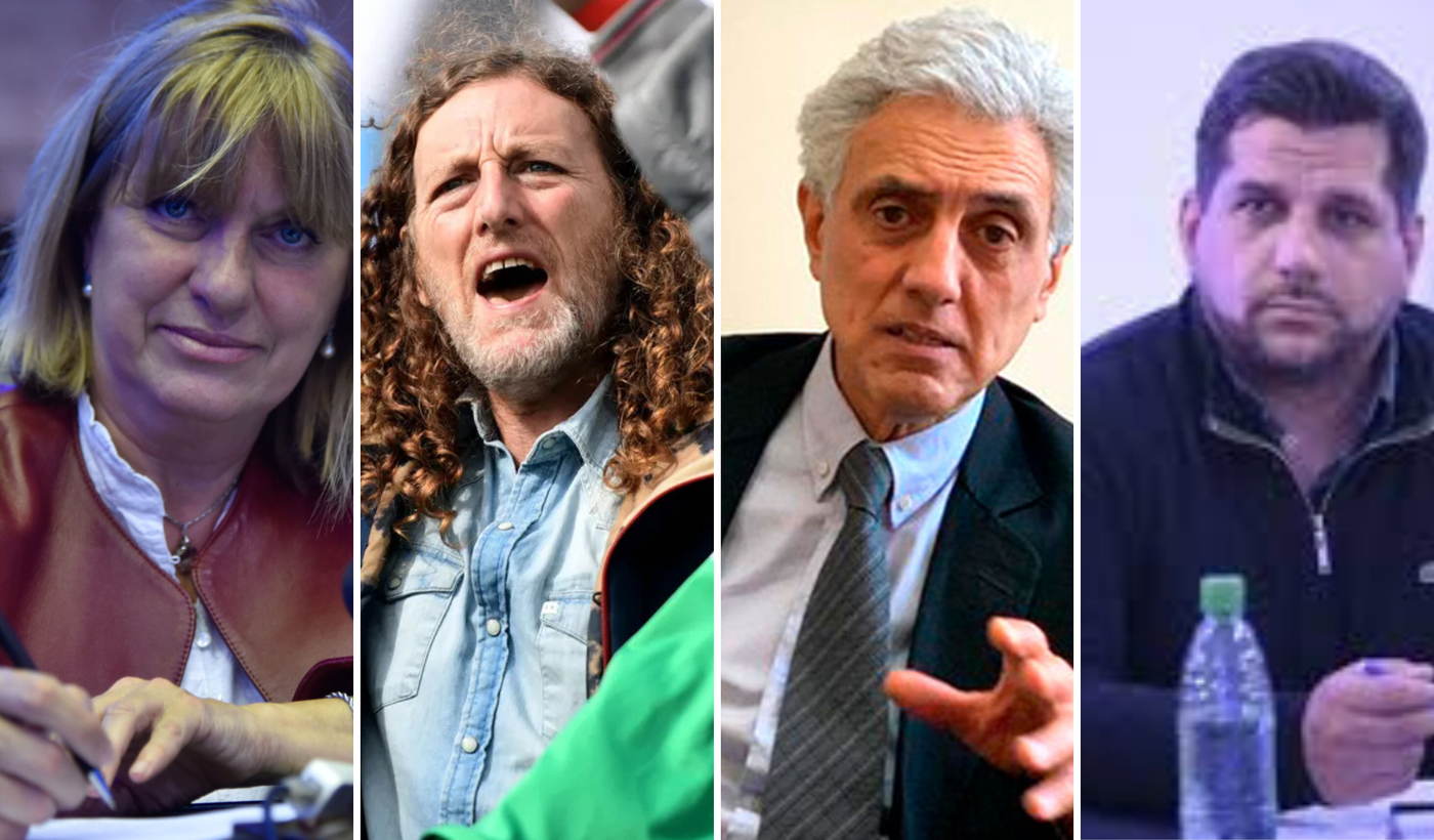 Claudia Bernazza, Oscar de Isasi, Carlos Raimundi y Federico De Marziani, los cuatro platenses de la lista de Fuerza Patria