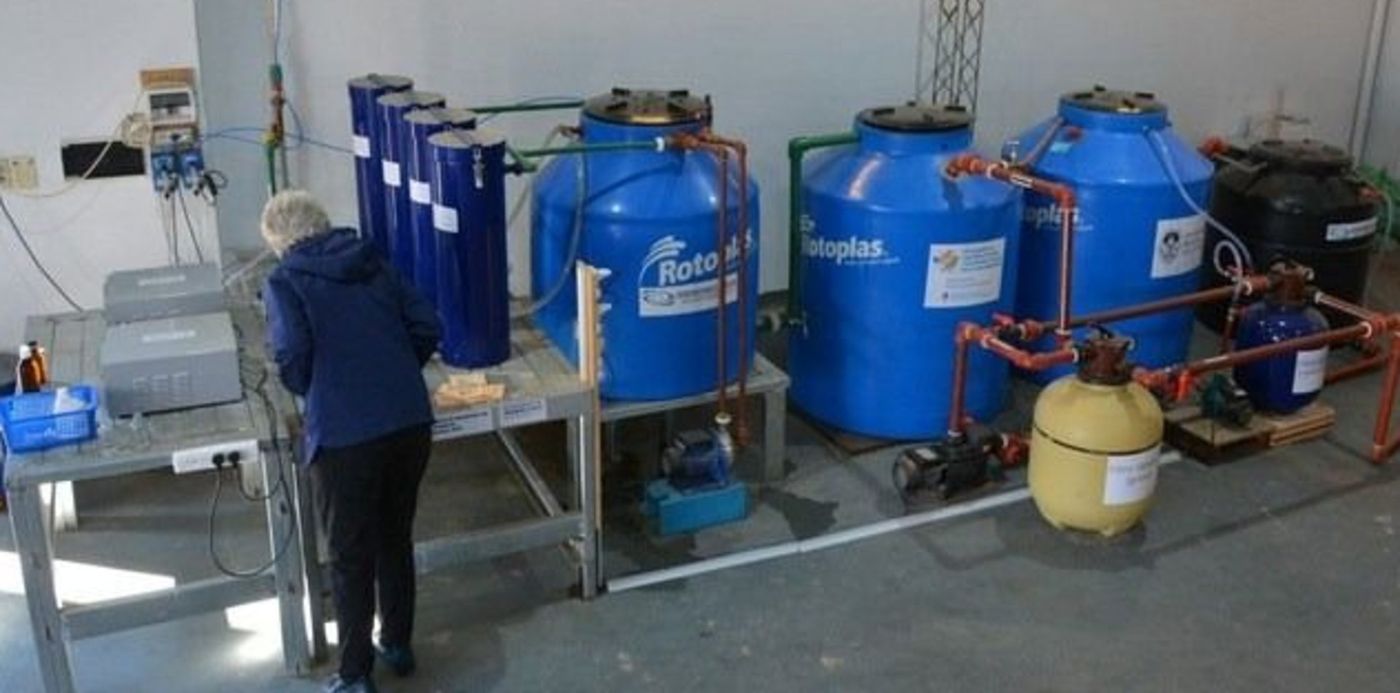 1615830967404.jpeg?x=4&y=119&width=632&height=316&rotate=0&scaleX=1&scaleY=1&ow=640&oh=461&&cw=1920&ch=950