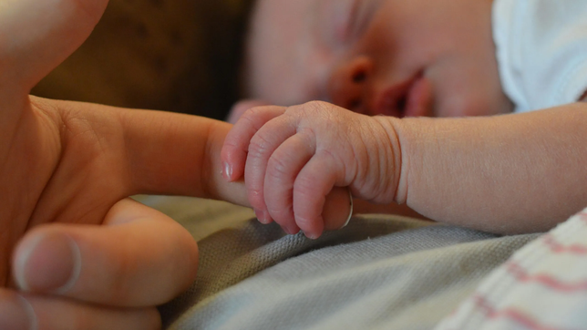 los nacimientos en la provincia se desplomaron un 20% a lo largo del 2025