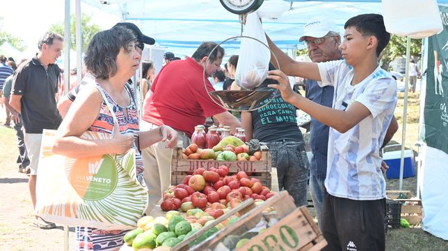 la nueva edicion de la fiesta del tomate platense ya tiene fecha y crece la expectativa