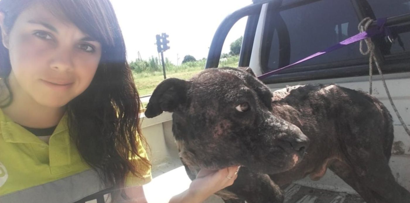 1574110855180.jpg?y=3&rotate=0&scaleX=1&ow=1280&x=1&width=1278&height=639&scaleY=1&oh=720&&cw=1920&ch=950