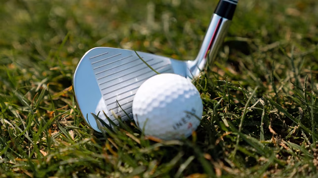 identificaron a los agresores que  golpearon a una vecina de la plata en un campo de golf de pinamar