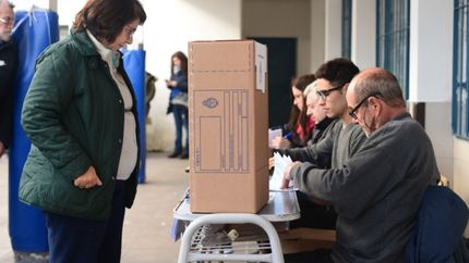 ¿Para qué cargos pueden votar en las PASO los extranjeros que residen en el país?