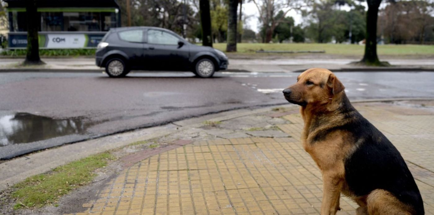 1544629795707.jpg?&cw=1920&ch=950