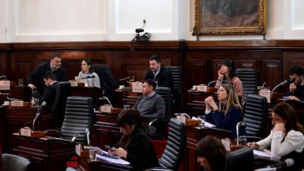 El escándalo por las supuestas coimas en la ANDIS recalienta el debate en campaña
