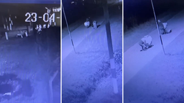 vecinos de gonnet reclamaron mas seguridad por los reiterados robos un hogar de ninos vecinos de gonnet reclamaron mas seguridad por los reiterados robos un hogar de ninos