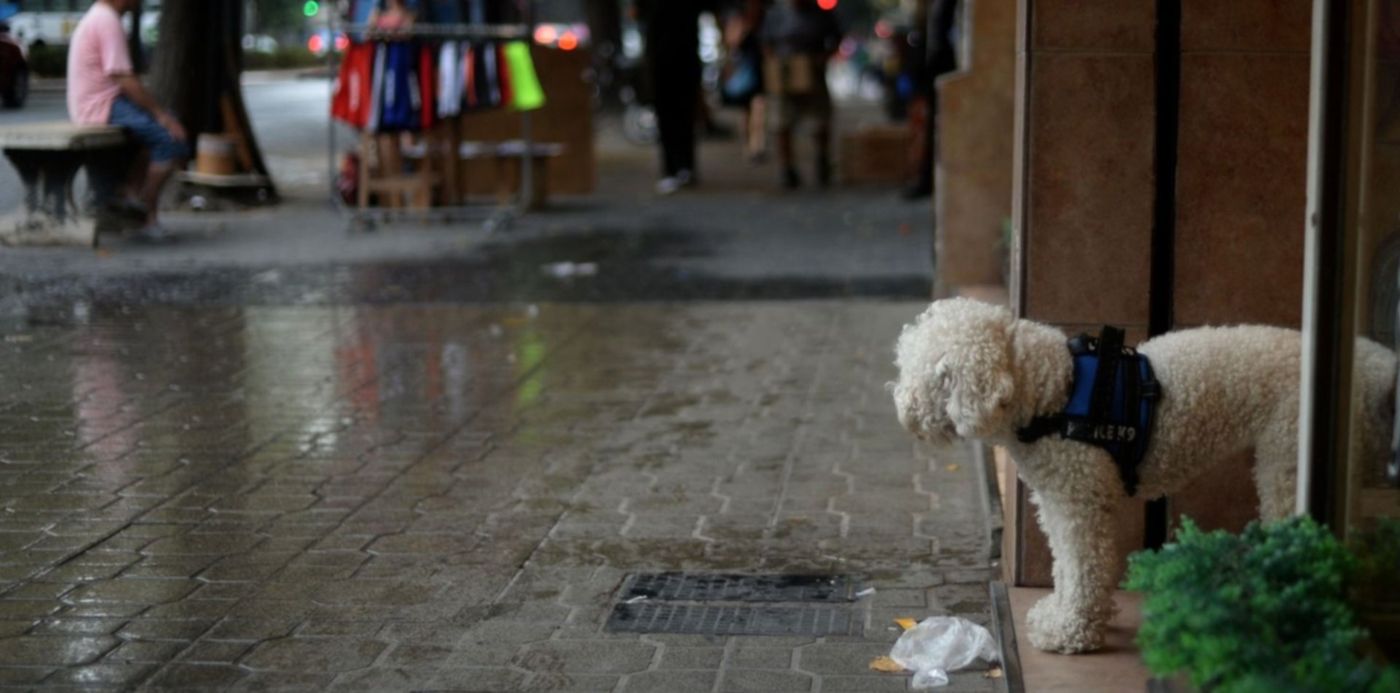 Clima Lluvia Lluvias
