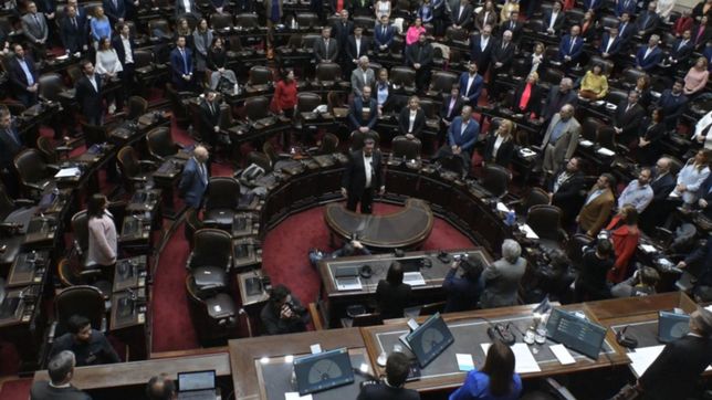 los diputados repudiaron por mayoria el ataque a cristina kirchner