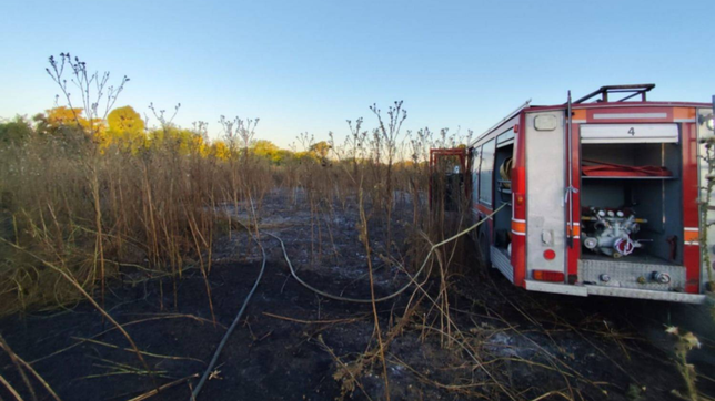 se incendio un descampado cerca del parque pereyra y las llamas consumieron una hectarea