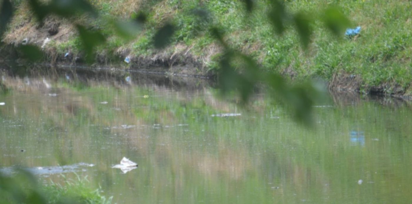 contaminación en el Arroyo Rodríguez