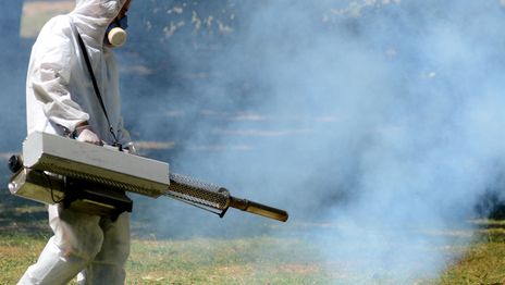 Fumigación mosquitos (5).JPG