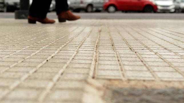 tamanos, colores y materiales: como son las baldosas que ahora podran poner los platenses