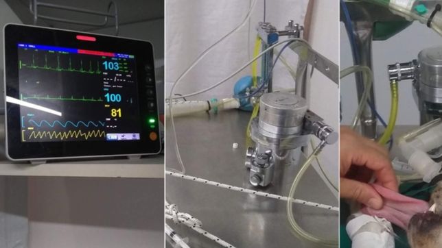 robaron costosos equipos a un veterinario de la plata y piden ayuda para recuperarlos