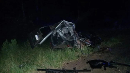 una familia de la plata murio tras un choque frontal con un camion en corrientes