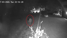 dos ladrones entraron a un barrio cerrado de la plata y un vecino frustro el robo a los gritos