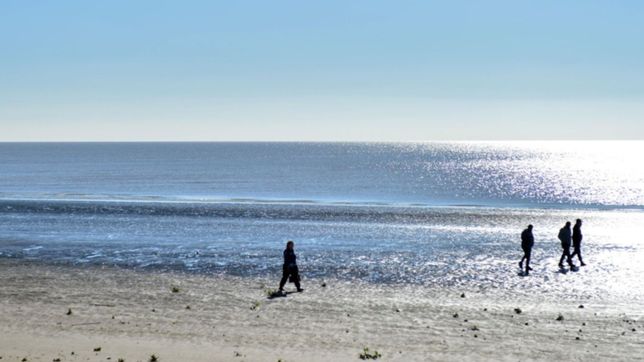 advierten que puede faltar agua en la region por una fuerte bajante del rio de la plata