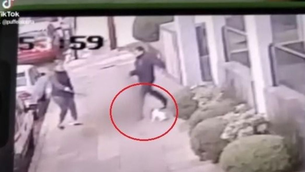Un hombre atacó a patadas a su vecina porque le pidió levantar la caca de su mascota