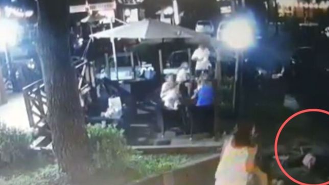 video: un pino cayo encima de una familia en la costa