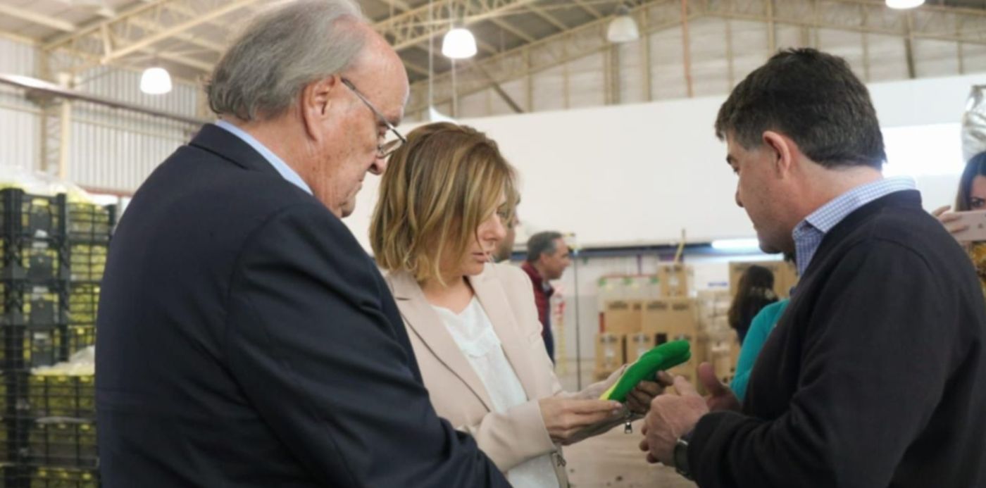 1570218523473.jpeg?height=634&rotate=0&ow=1280&x=6&y=111&width=1269&scaleX=1&scaleY=1&oh=853&&cw=1920&ch=950