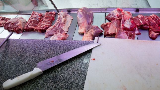 intoxicacion con carne en mal estado: ¿cual es la situacion en la plata y la region?