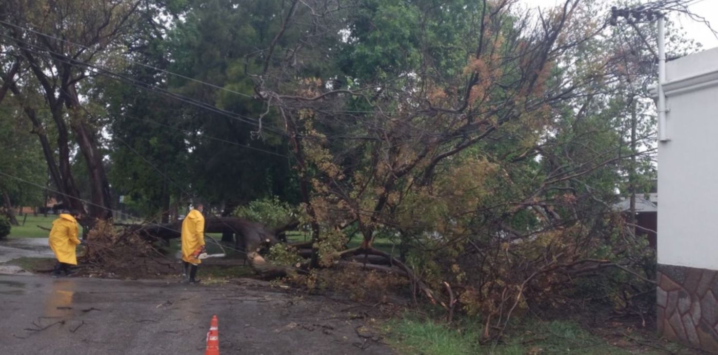 1603372760546.jpeg?x=2&y=60&width=1486&height=743&rotate=0&scaleX=1&scaleY=1&ow=1500&oh=843&&cw=1920&ch=950