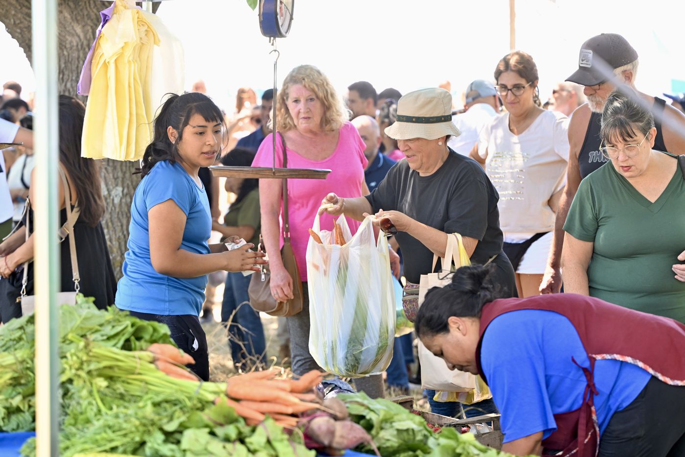 fiesta del tomate platense 2026 (8)