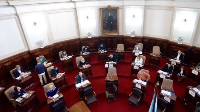 quienes son las cabezas de listas de todos los candidatos a intendente en la plata