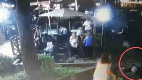 VIDEO: Un pino cayó encima de una familia en la Costa