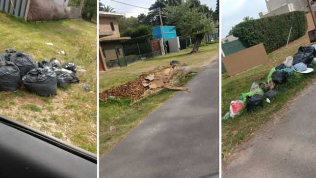 hartazgo vecinal en villa elisa por la falta de recoleccion de basura